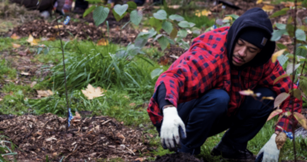 Person wearing a red plaid shirt, hoodie, and work gloves crouching in a forest understory