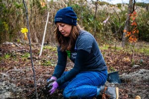 Woman in American Forests T-shirt kneels on ground with soil in hands