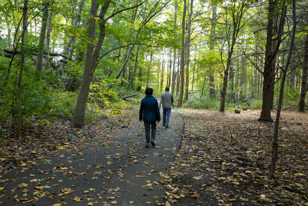 Two park visitors walk on a paved path in a forest.