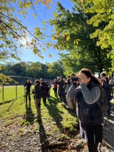 A group of birders point their binoculars at trees in a public park.