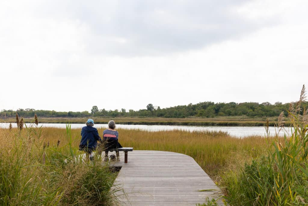 Park visitors sit on a bench facing a wetland and surrounded by tall grass