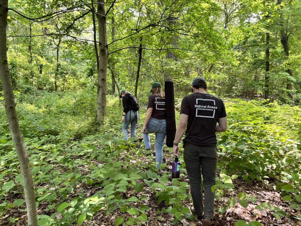 Three staff members walk one by one into a forest, NAC logos are visible on back of shirts