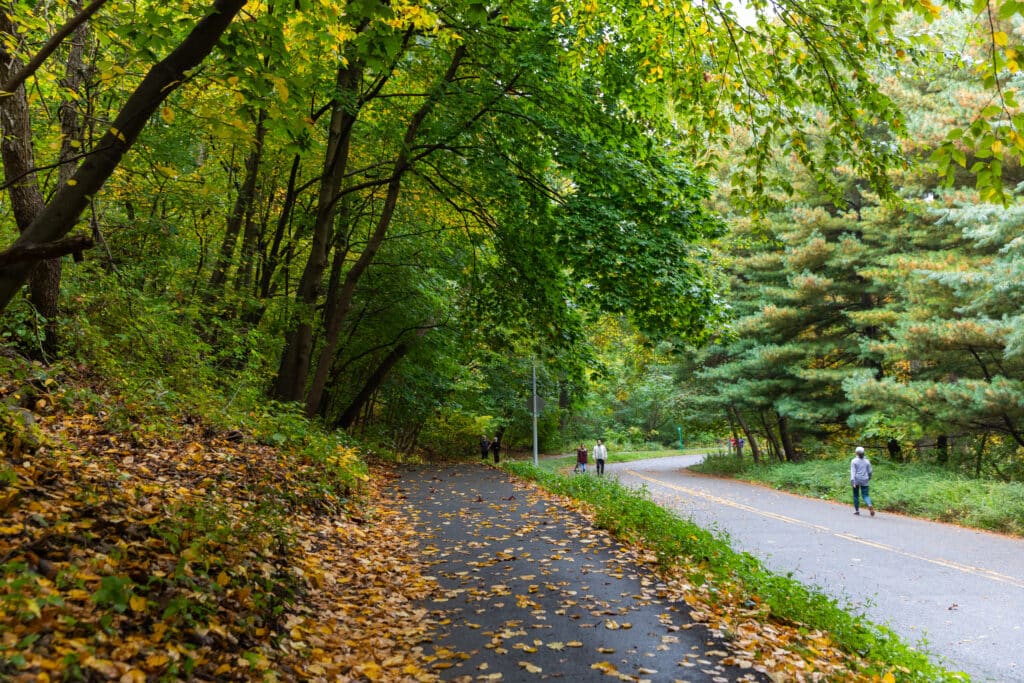 Park visitors stroll on a road within Forest Park Queens in autumn