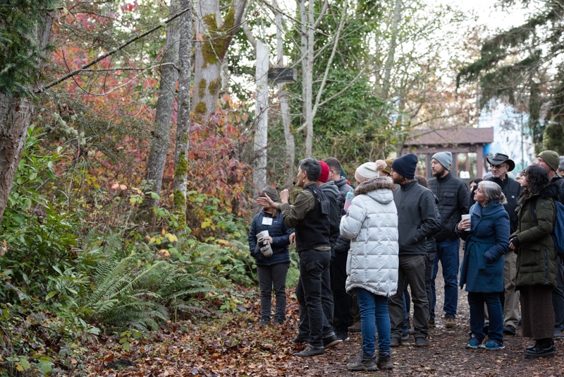 A group of people stand in a forest looking at trees on the side of the path