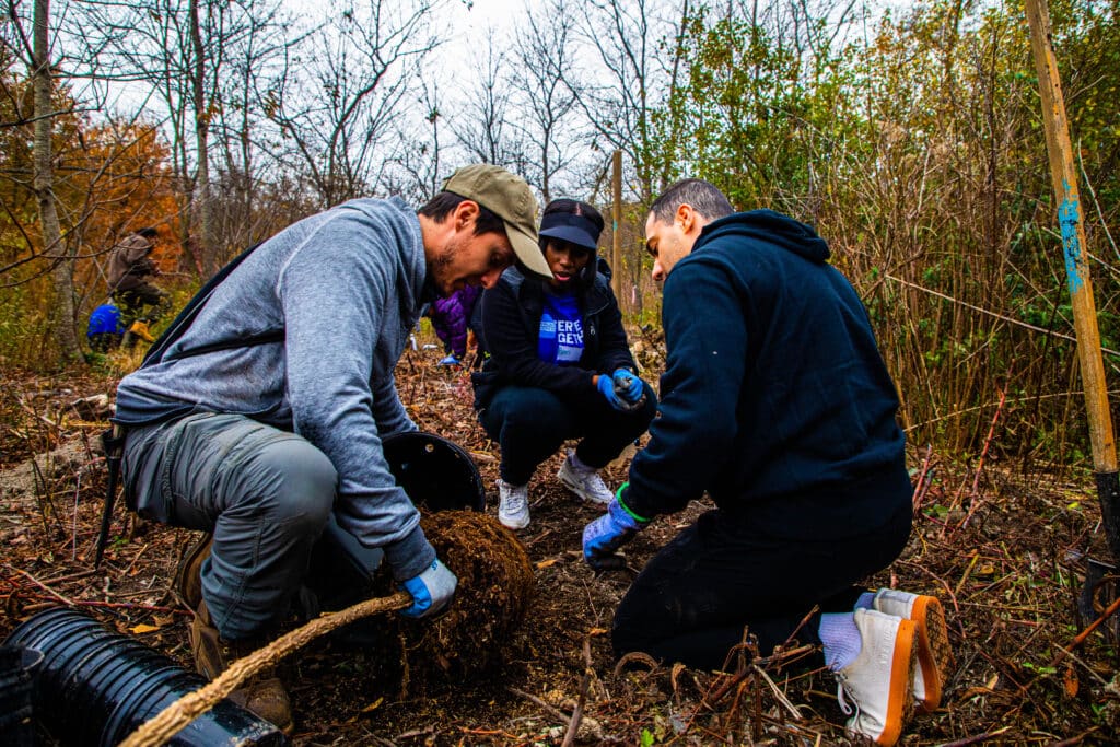 A group of three volunteers plant a tree