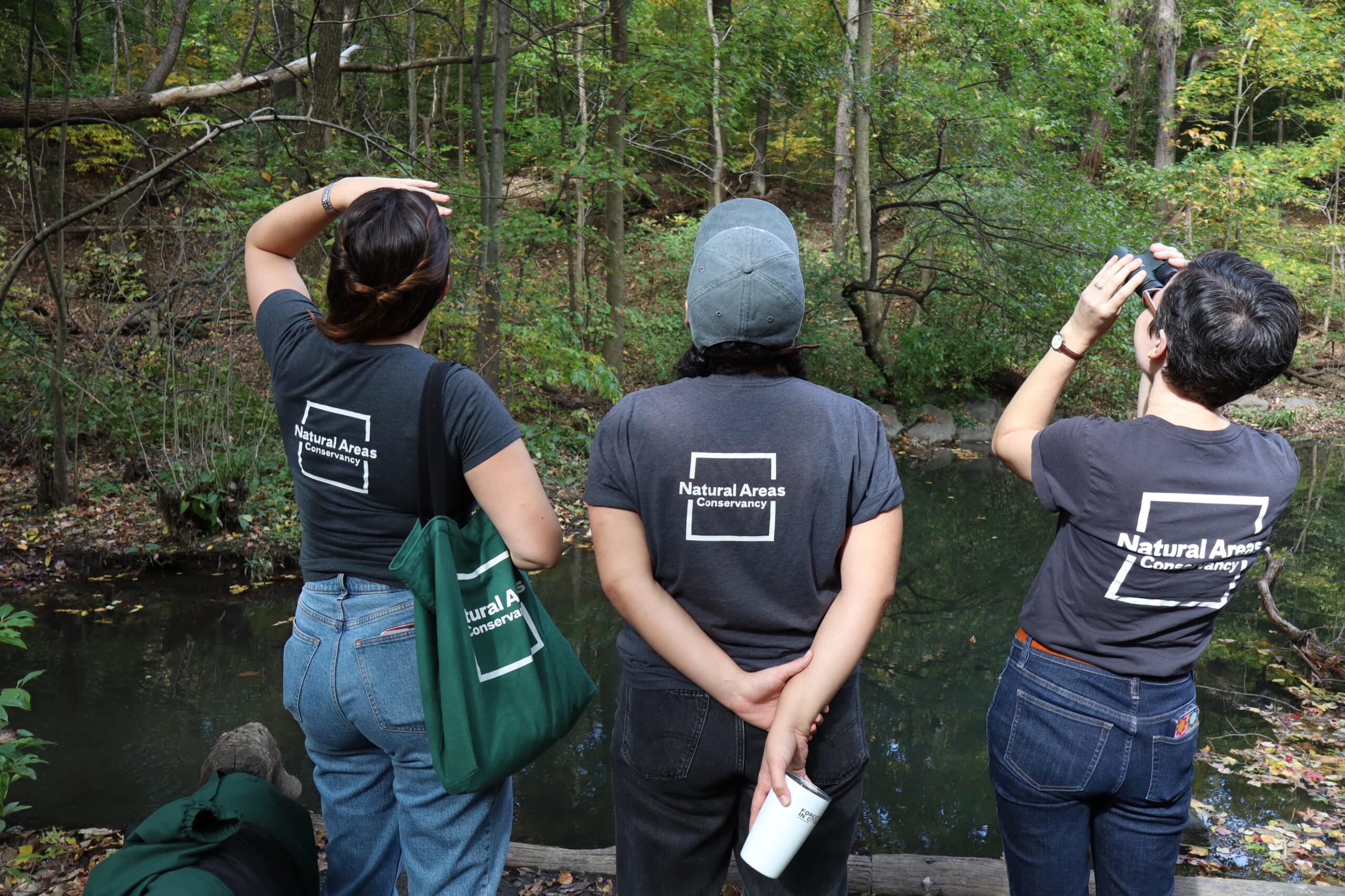 Three staff members in NAC t-shirts look out onto a pond in Central Park