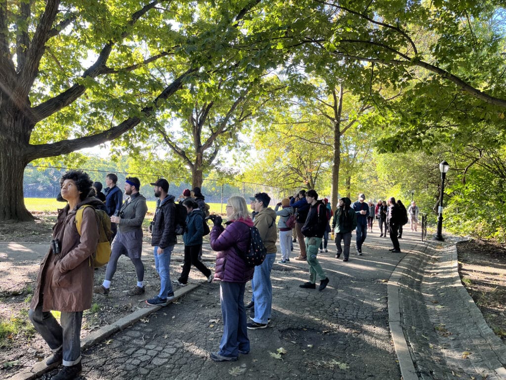 A large group of birders stand on a paved path in a park, pointing binoculars into trees