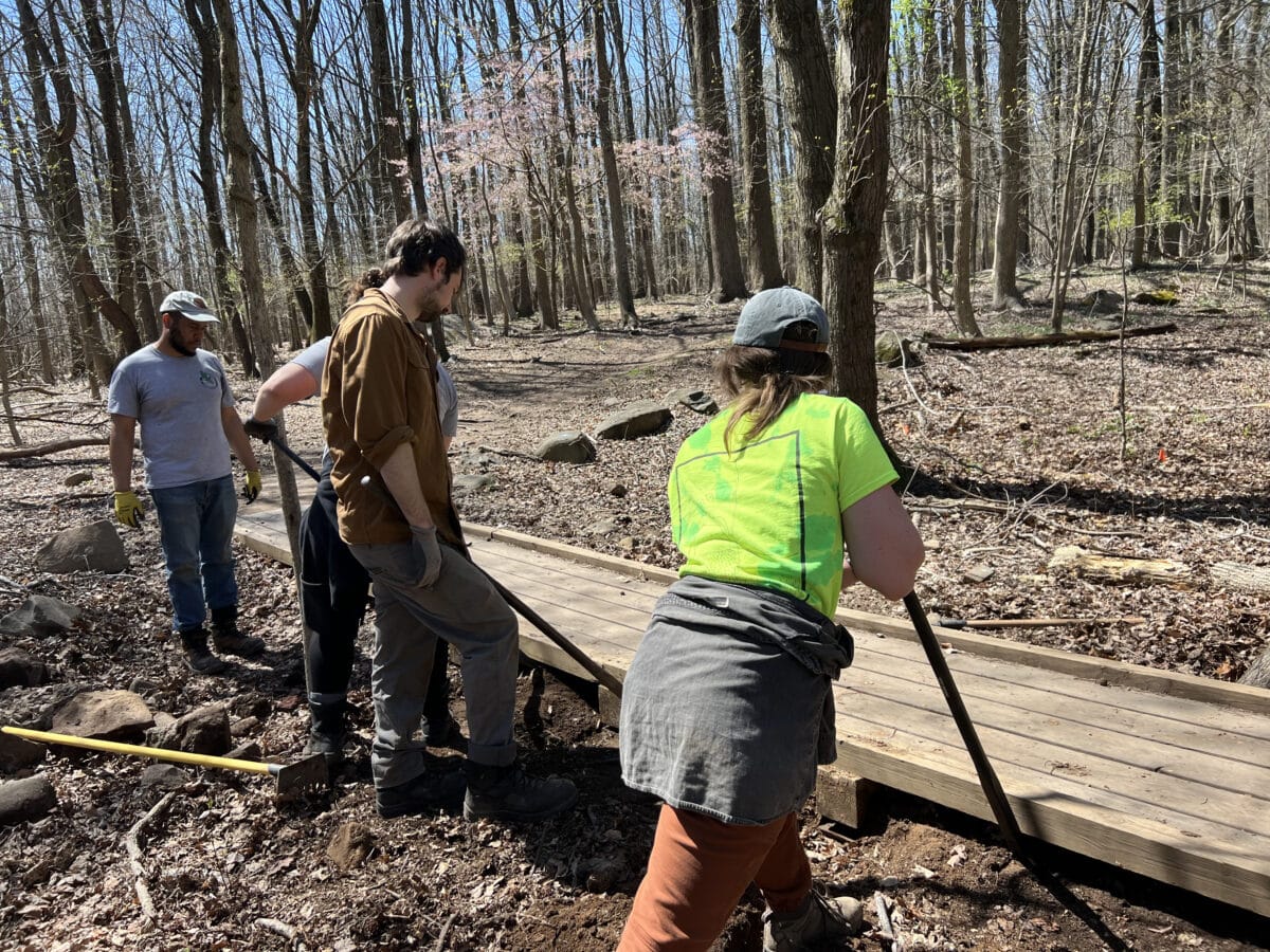 Trails team installs puncheon in forest