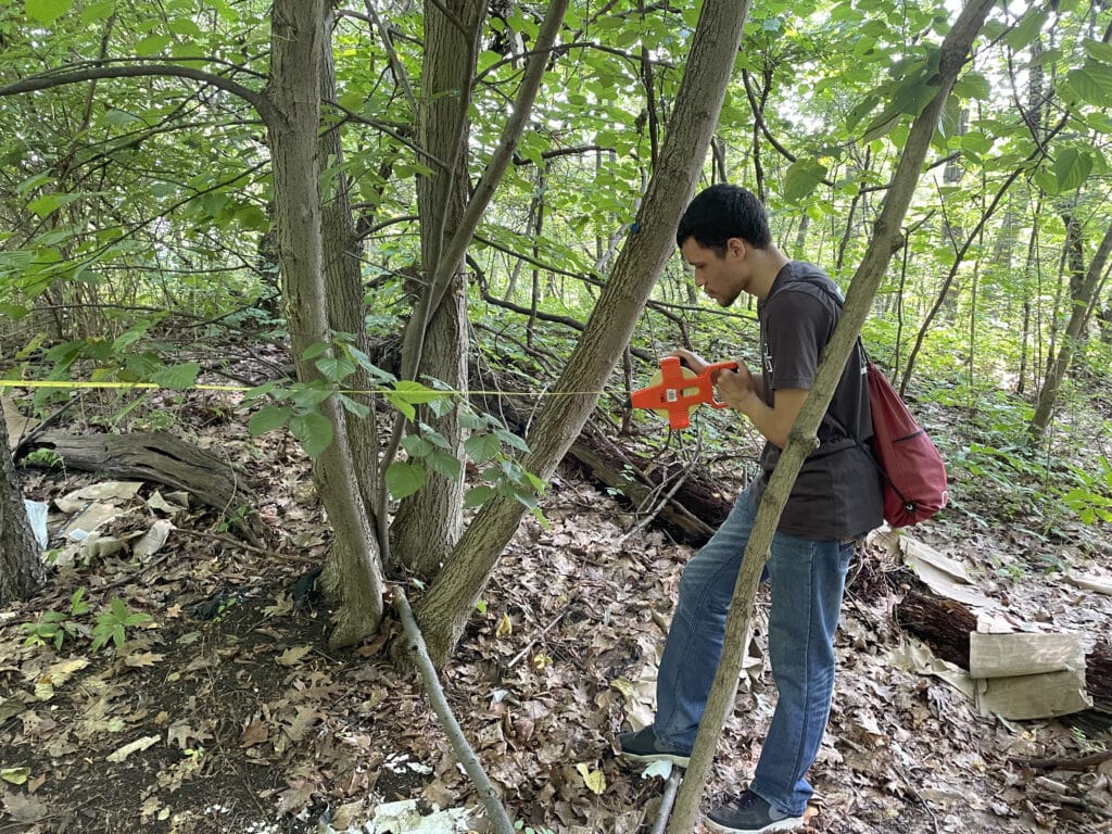 Intern, Jean, carries measuring tape in a forest wearing an orange vest