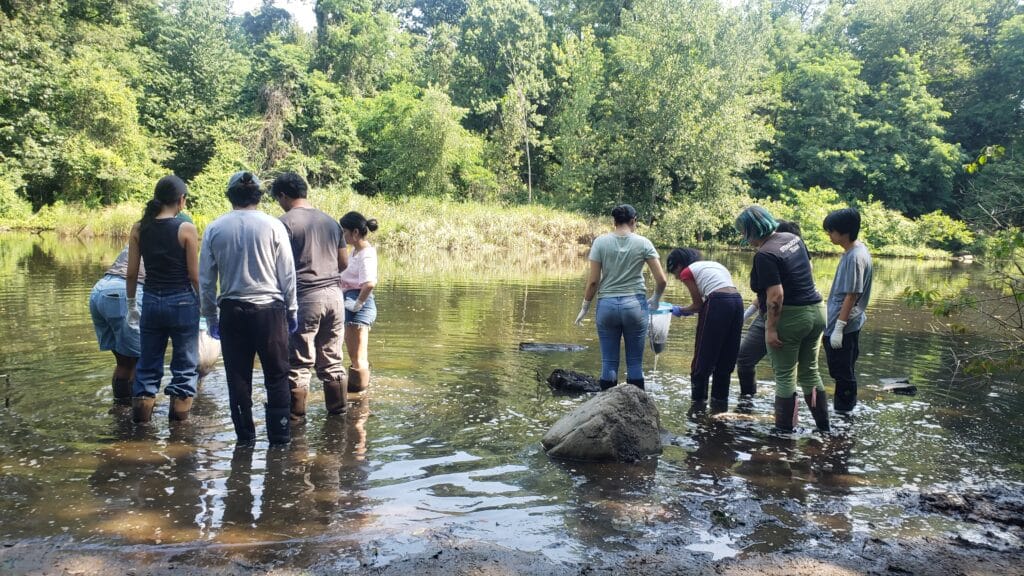 NAC high school interns take samples from a pond in Forest Park