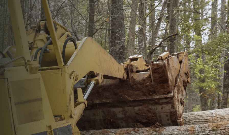 Bulldozer in a forest