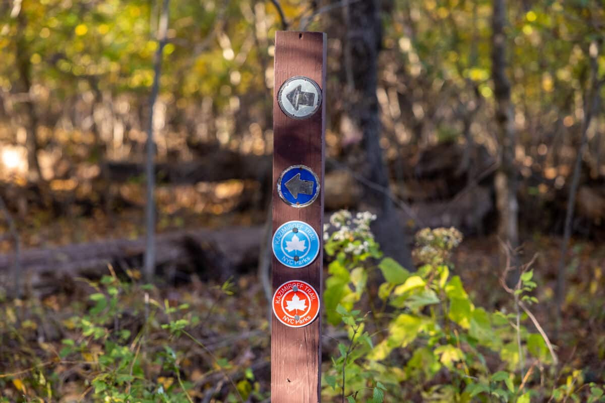 A post in a forest with trail markers and arrows