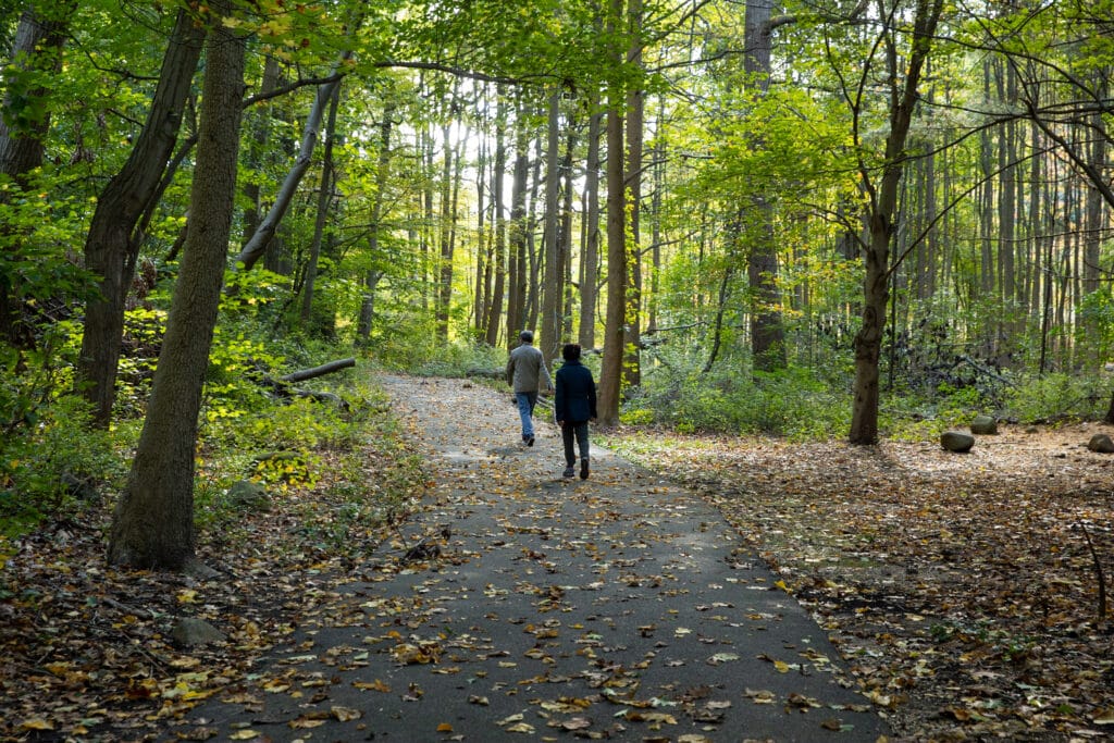 Two people walking on a paved path in a forest
