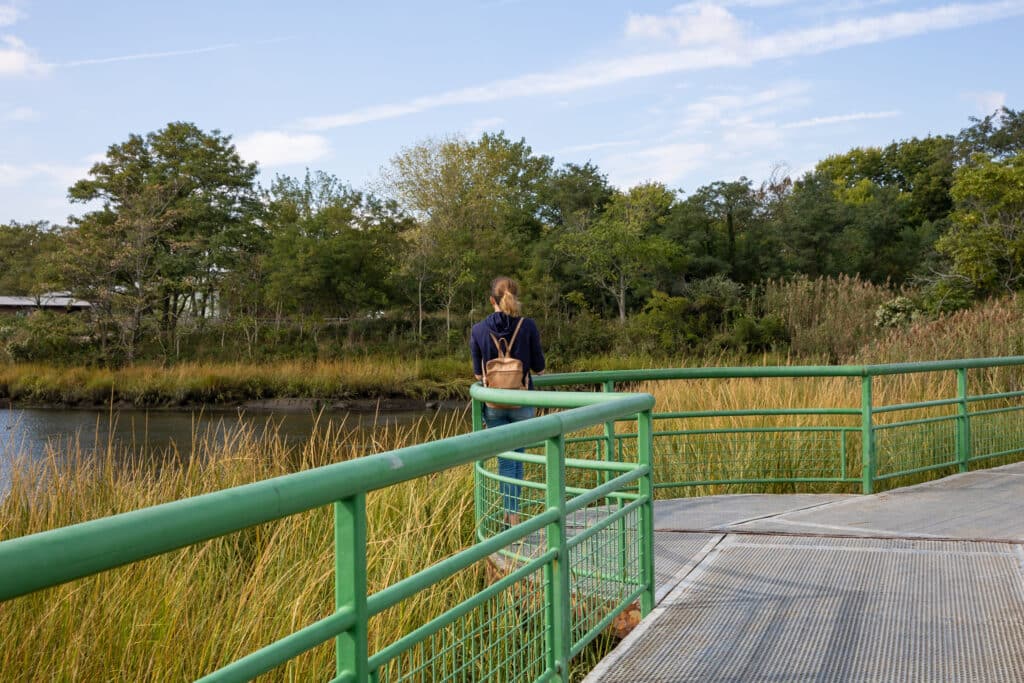 A woman stands on a walkway overlooking wetland, blue skies above