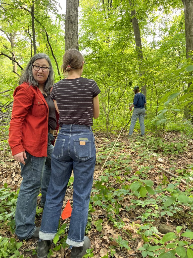 Three NAC staff members measure a plot in a forest during spring