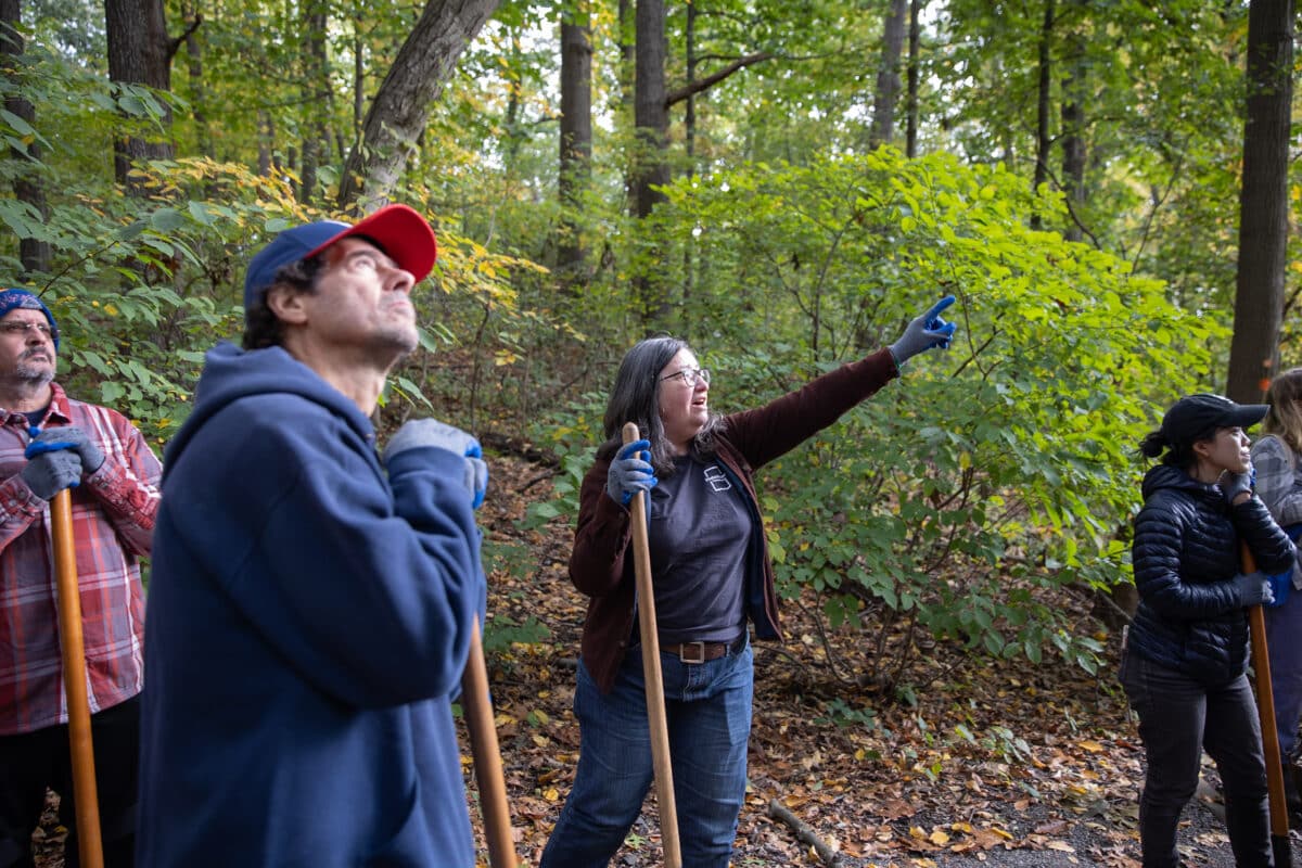 Helen Forgione points into the distance in a forest as another person looks in that direction