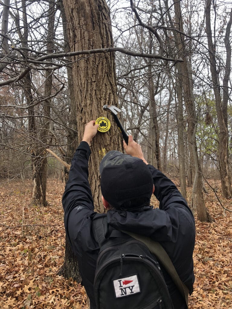 A person hammers a pelham bay yellow trail marker into a tree