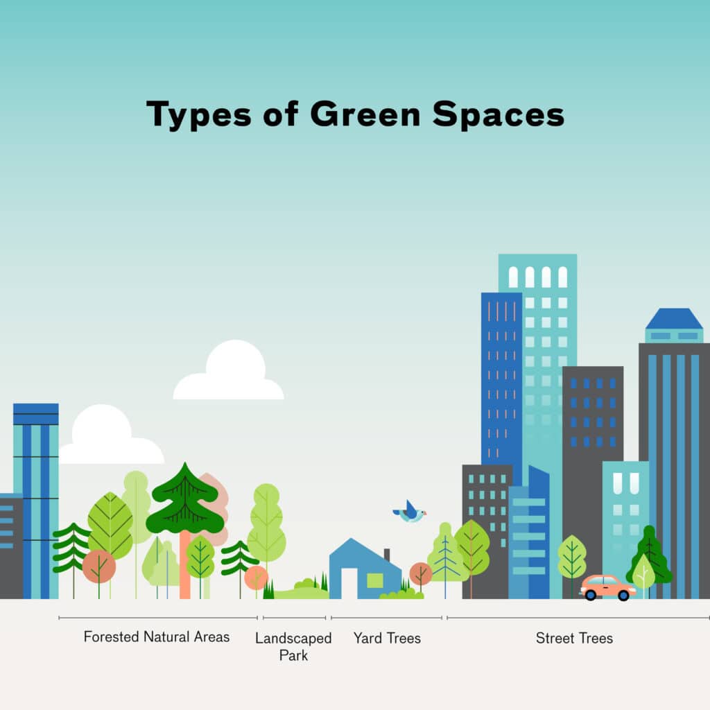 Diagram of different urban greenspace