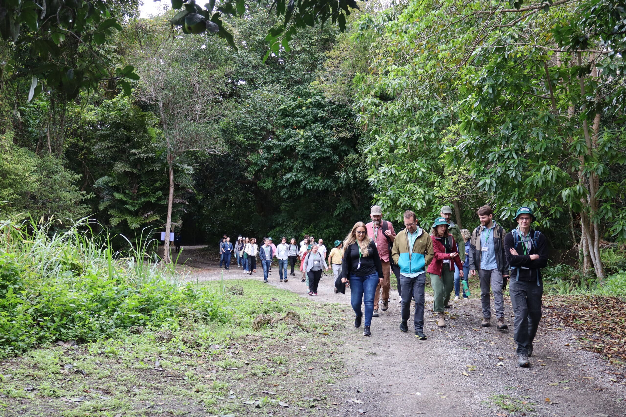 A large group of forests in cities members walk on a dirt path surrounded my trees in Miami