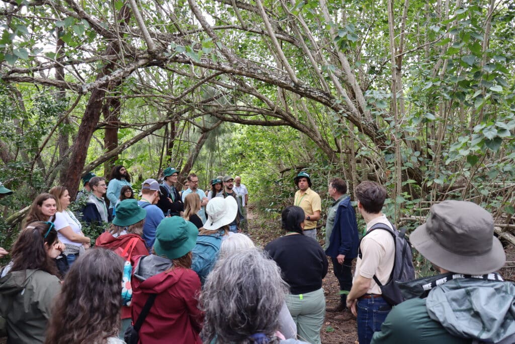 Forests in cities network members stand on a path in a Mangrove forest in Miami listening to Miami team member James Duncan