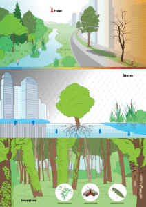 Three panels depict climate impacts: heat, storm, and biodiversity