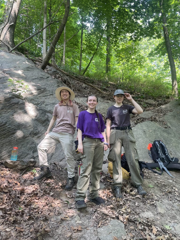 three interns stand in a forest