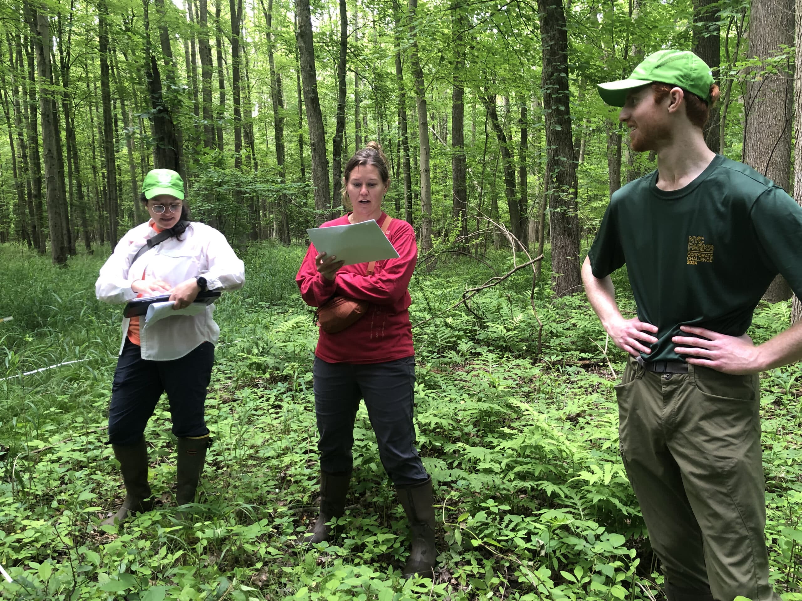 Three people stand in forest with clipboard