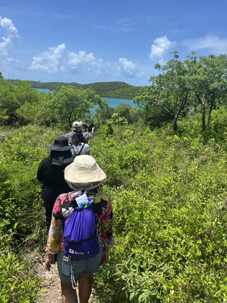 group of interns hiking in bahama trail