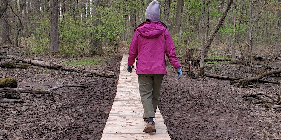 A person in a pink jacket walks on a trails puncheon in a forest