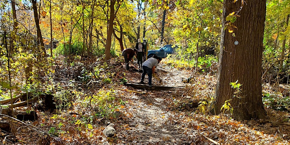 Trail maintainers working on check steps