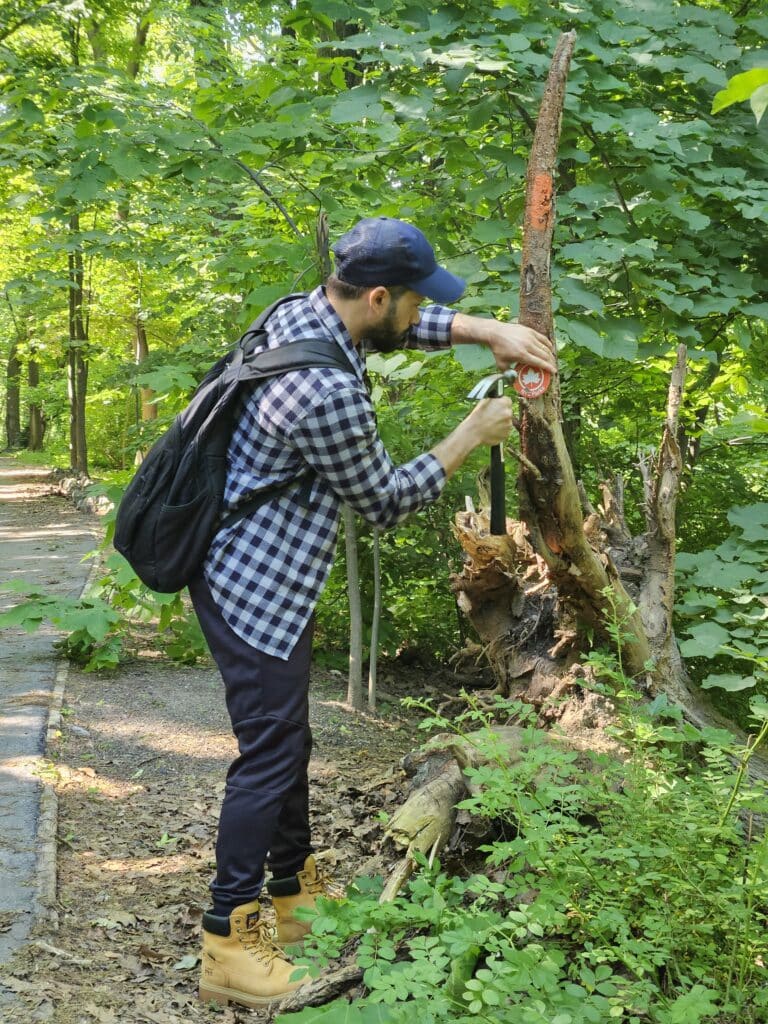 man installing trail marker