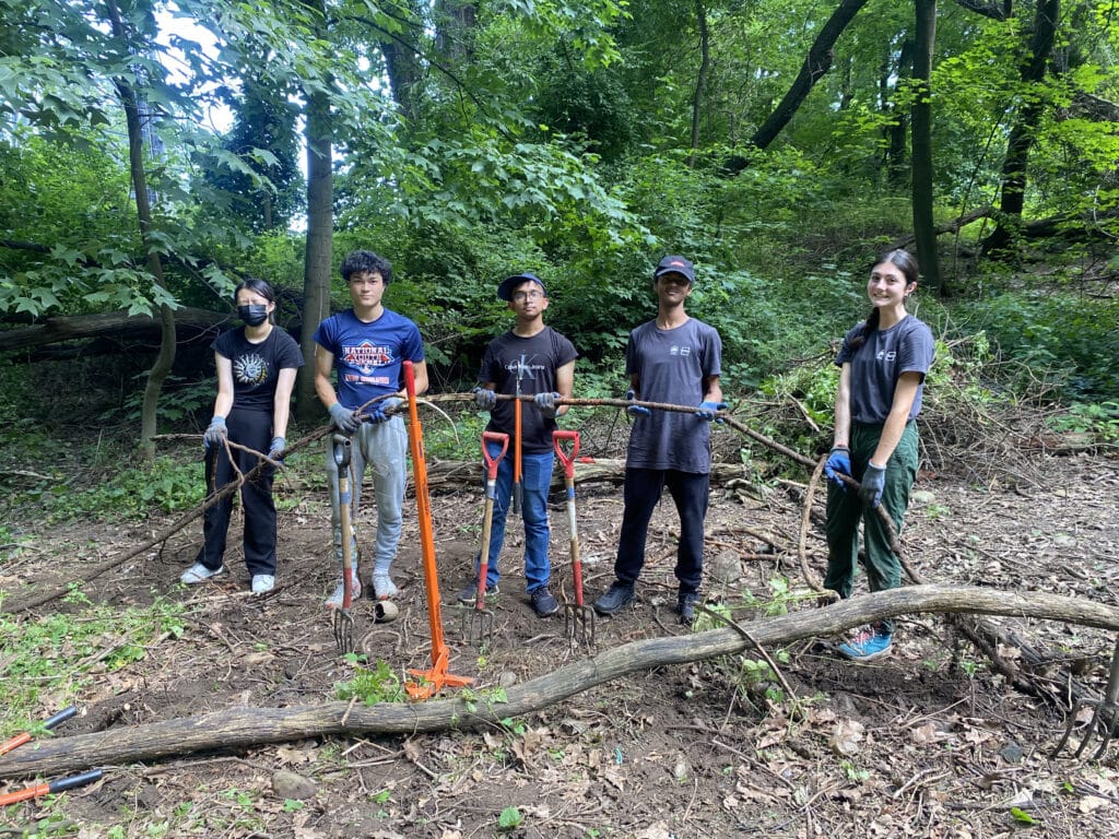 interns holding a tree brnach