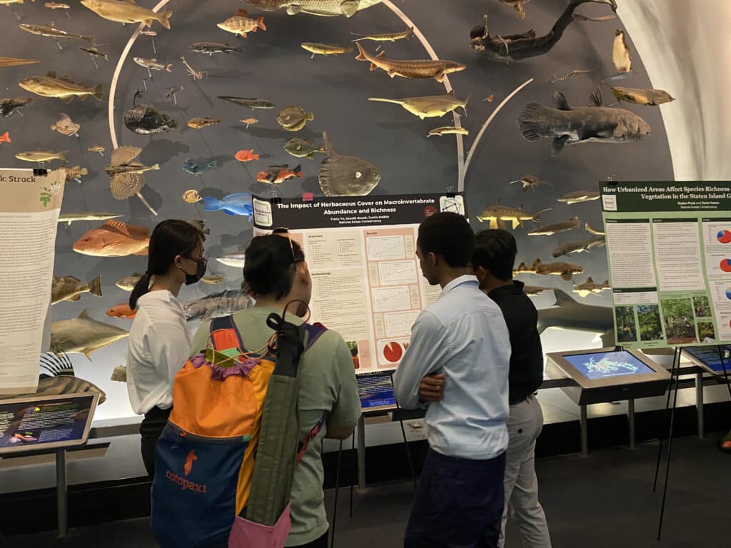 high school interns at the american museum of natural history