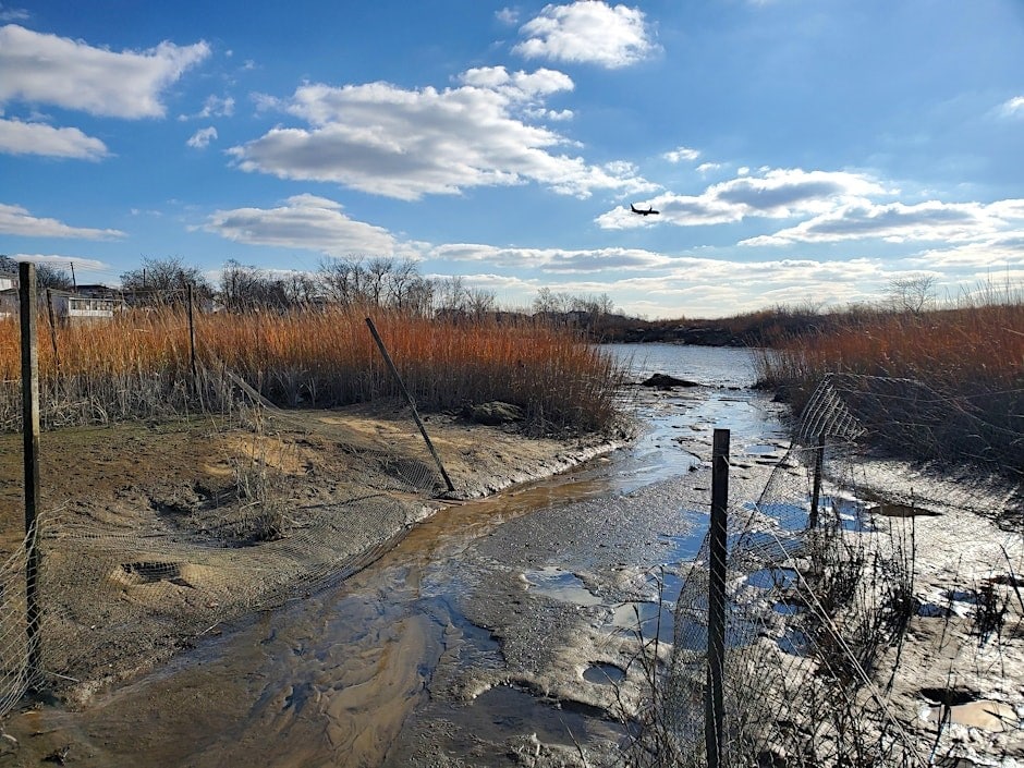 soundview park