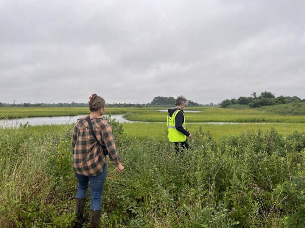 two people standing in a wetland