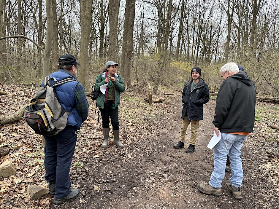 people standing in circle in forest