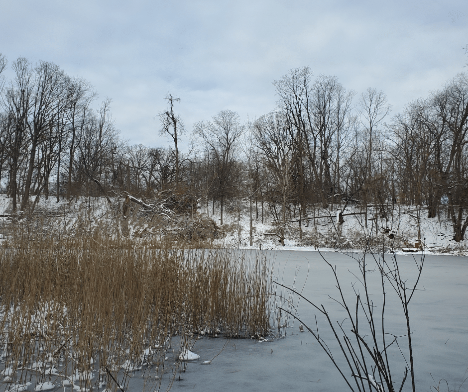 strack pond frozen