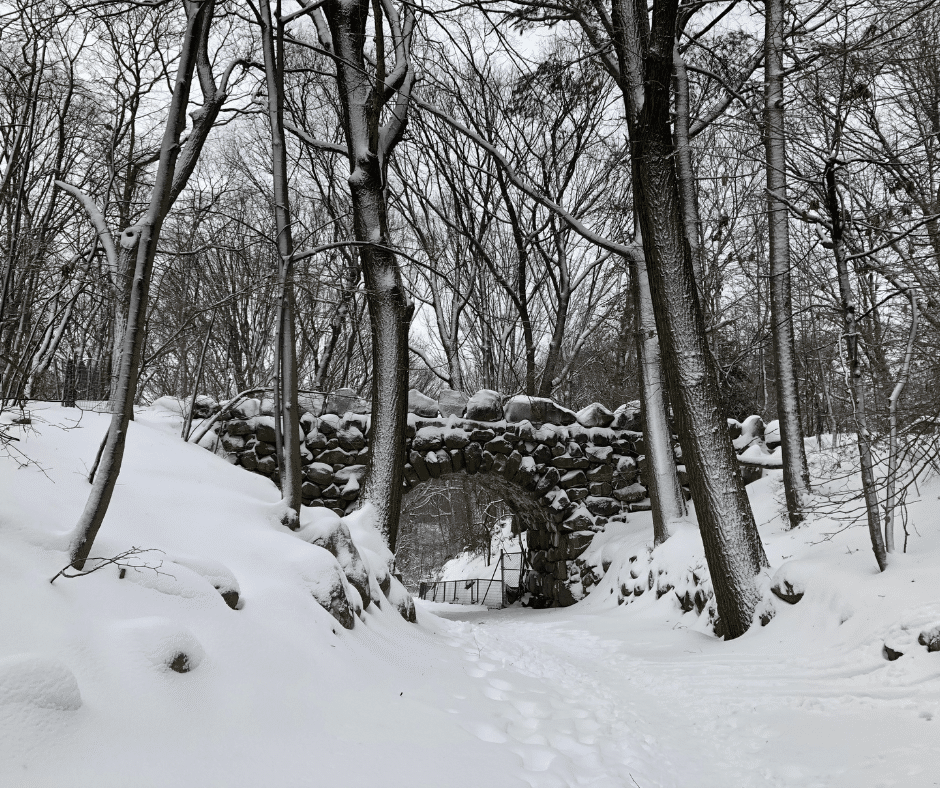 bridge covered in snow prospect park