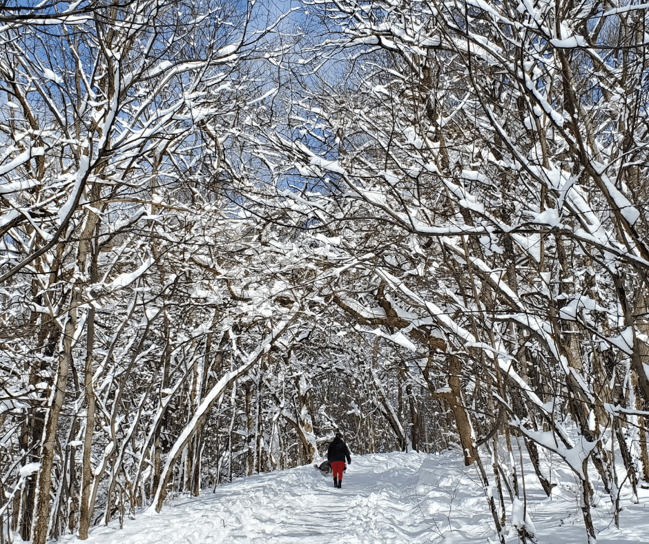 person in snow walking in forest