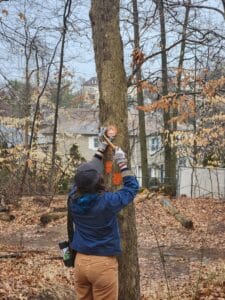 woman nailing marker into tree