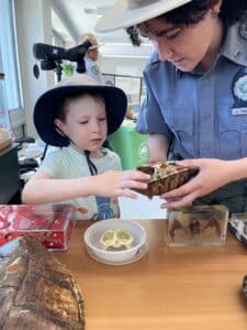 Child holding turtle with urban park ranger