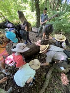 Group of kids in forest with urban park rangers