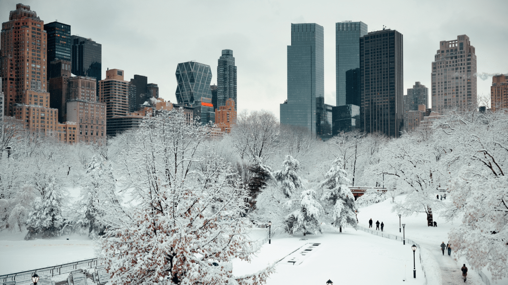 central park covered in snow with city scape in background