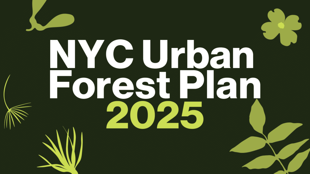 NYC urban forest plan 2025