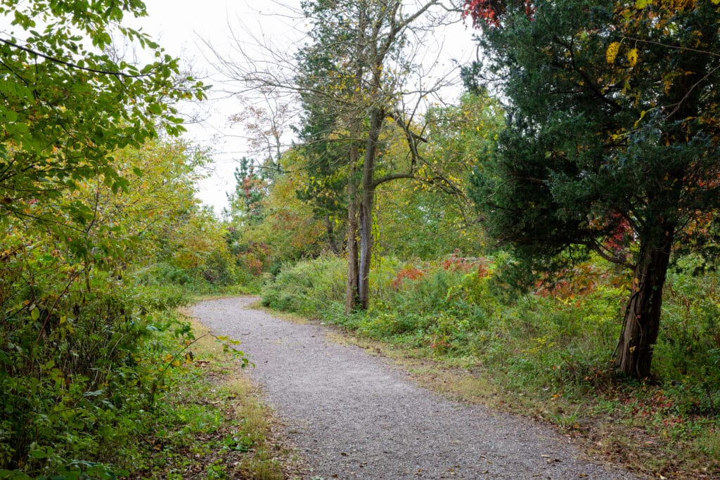 path jamaica bay