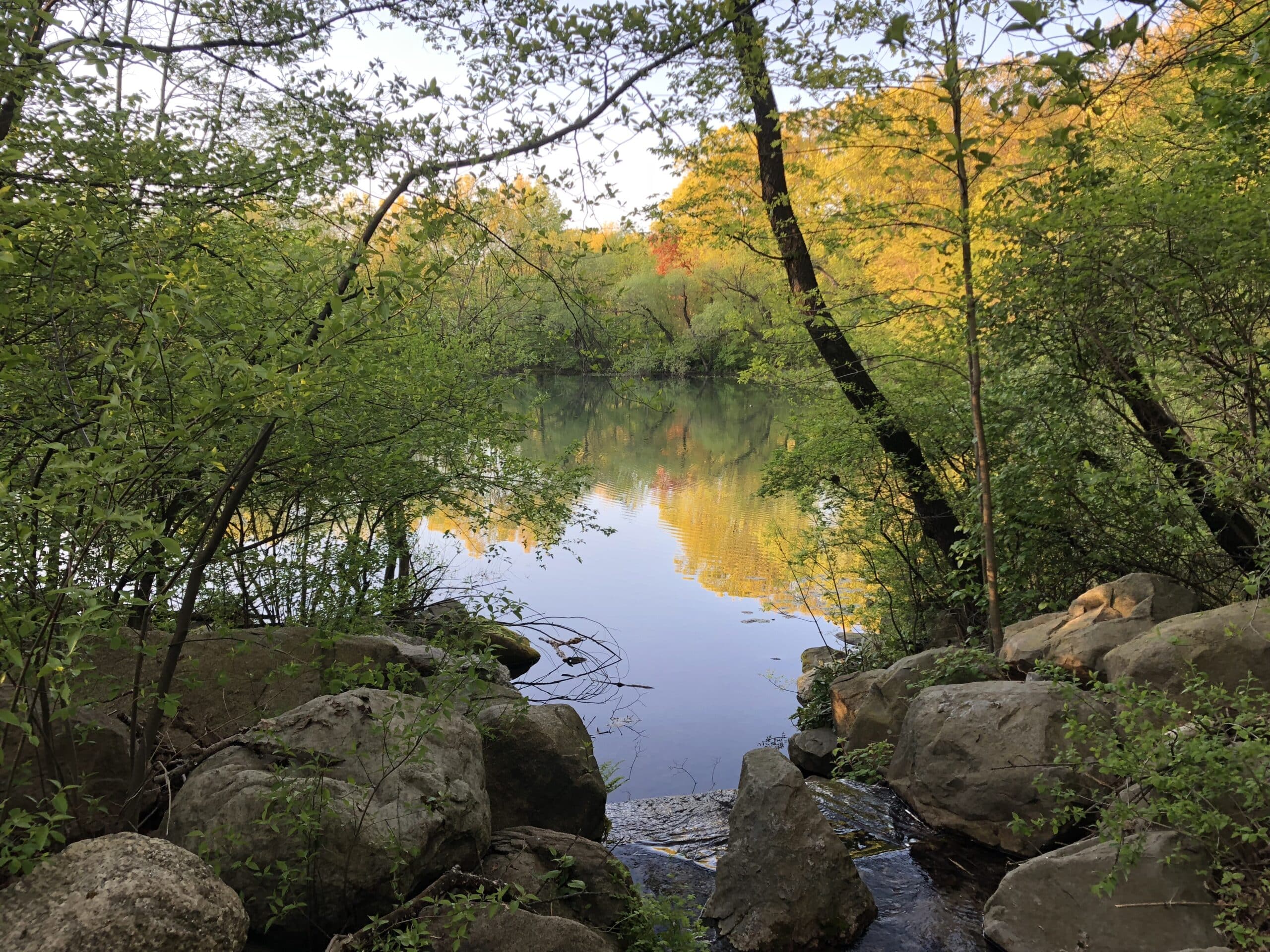 wetland