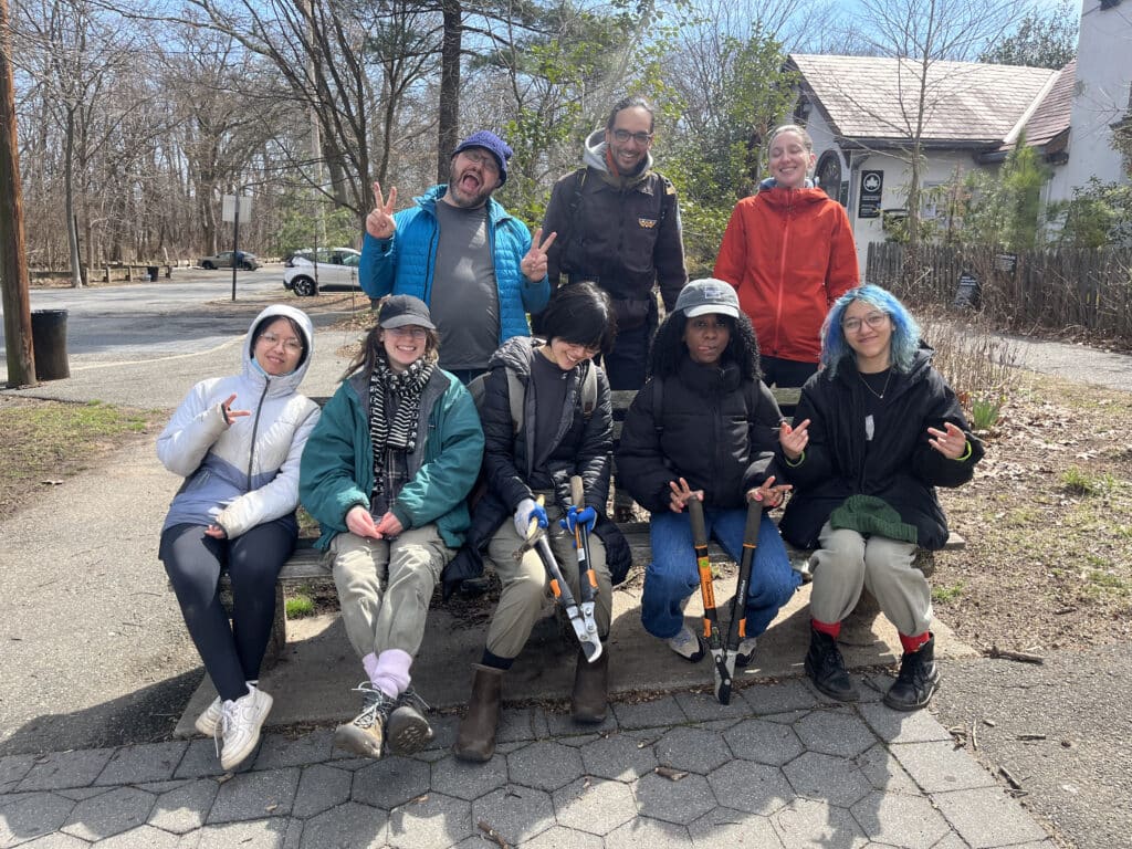 group of fellows