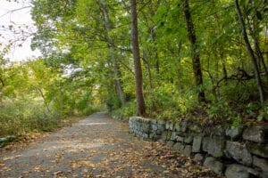 Forest Park