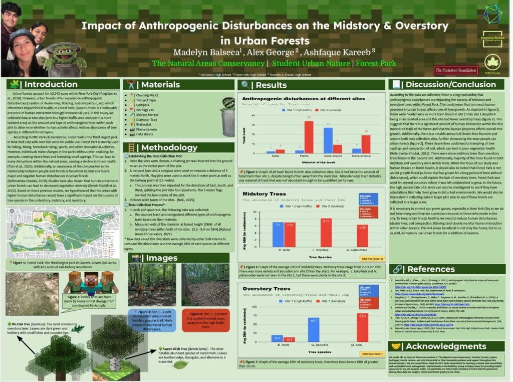 midstory overstory 