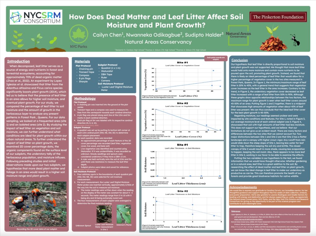 How Does Dead Matter and Leaf Litter Affect Soil Moisture and Plant Growth?